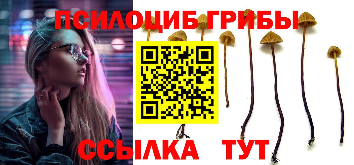Псилоцибиновые грибы ЛСД  Вход с VPN  хочу наркоту  Каменка 