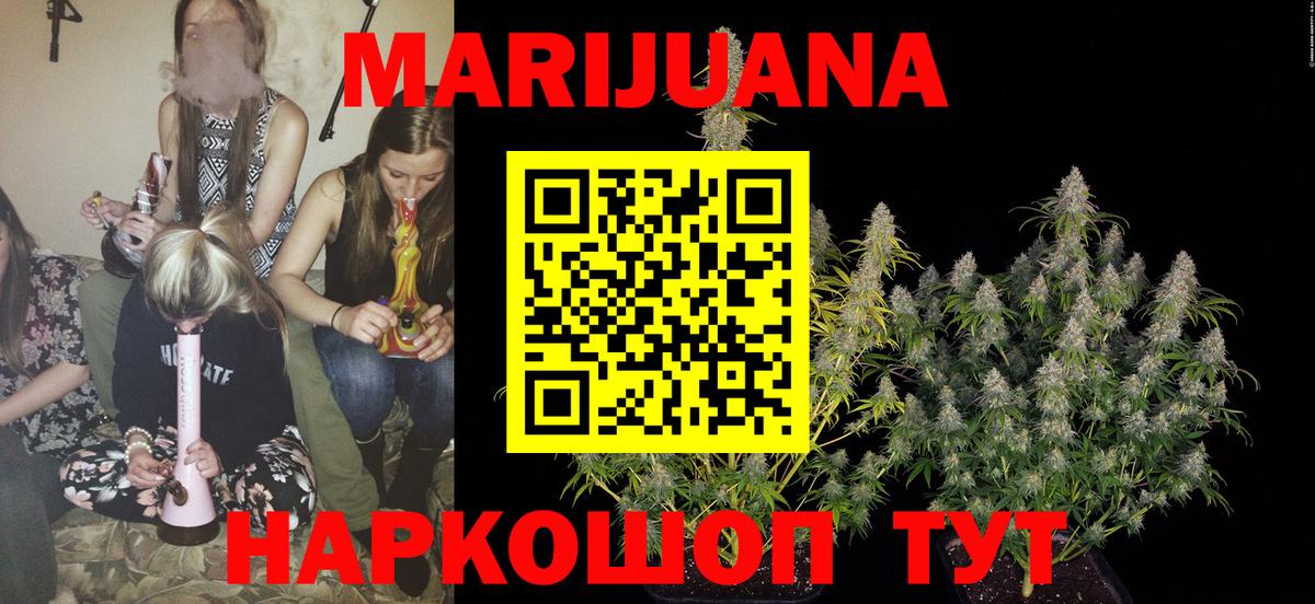 Каменка  Каннабис план  Канабис гибрид  МАРИХУАНА гибрид  Вход с VPN 